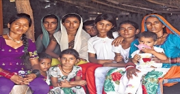 ভারতের নাগরিকত্ব না পেয়ে পাকিস্তানে ফিরে গেল ৮০০ হিন্দু শরণার্থী