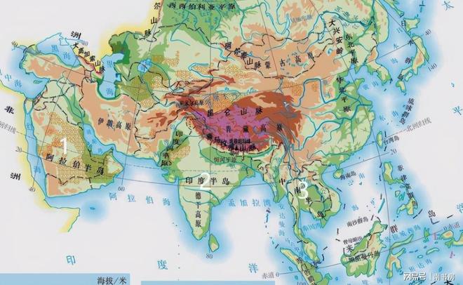 尼克斯连签6名球员！怀斯曼布朗在列：最终只有1个留队名额？